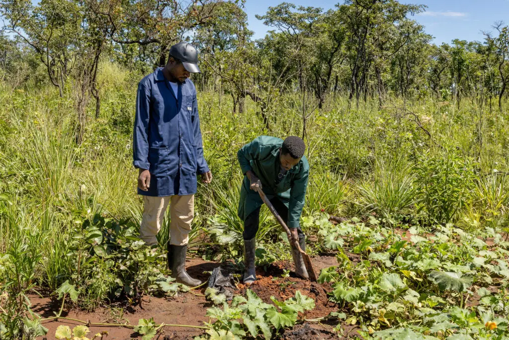 People working in agricultural field