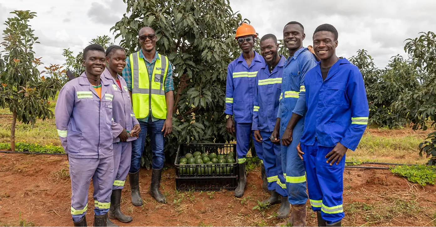 Contact illustration