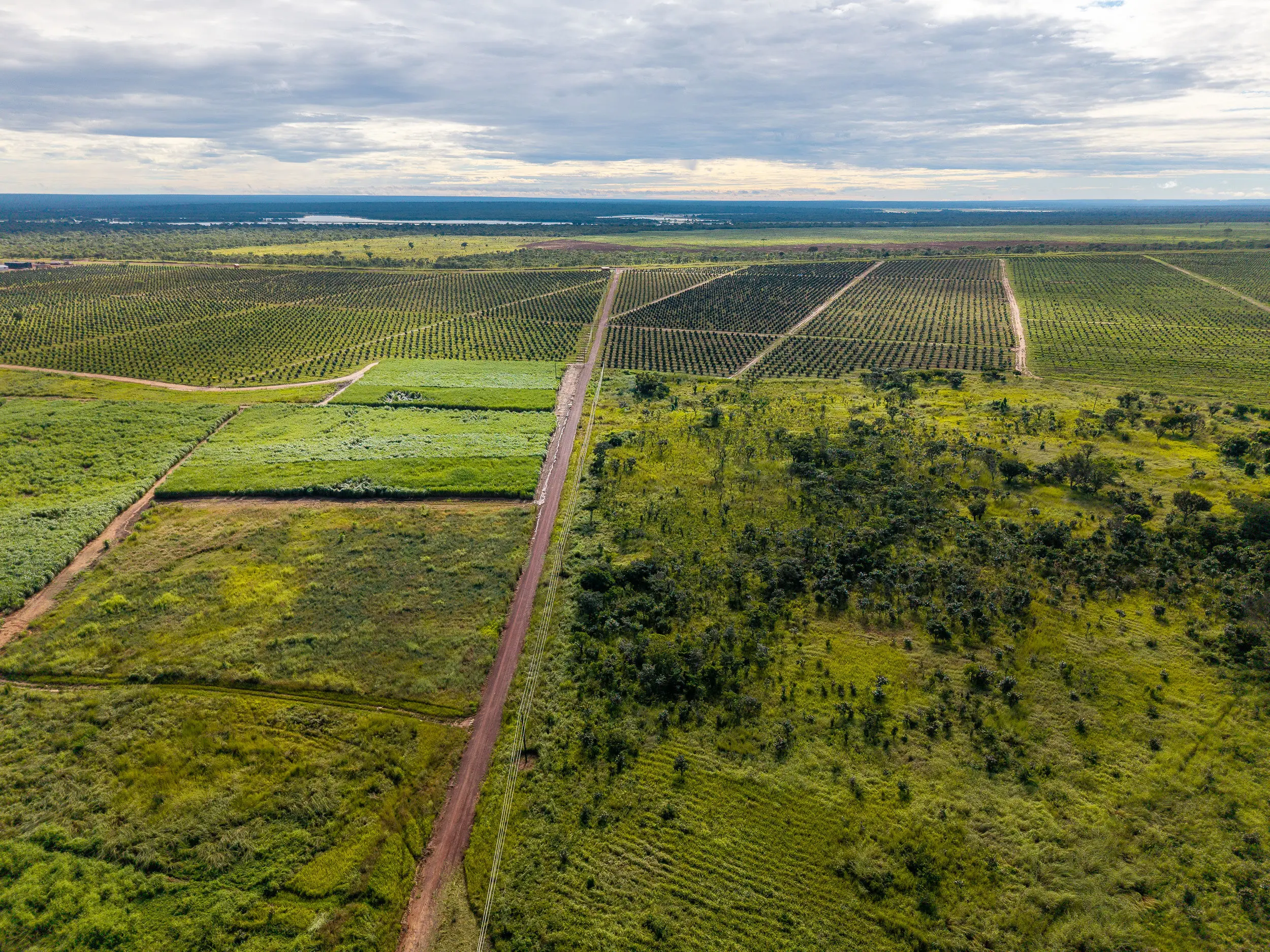 Environment stewardship