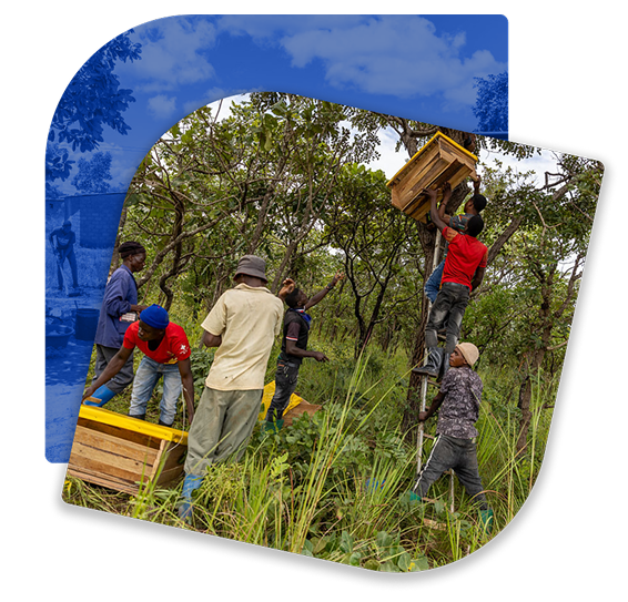 Community initiative photo 2