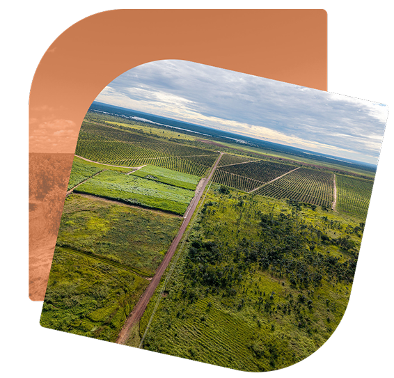 Sustainability photo 2