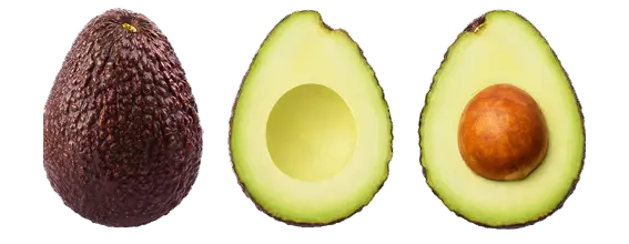 Hass avocado